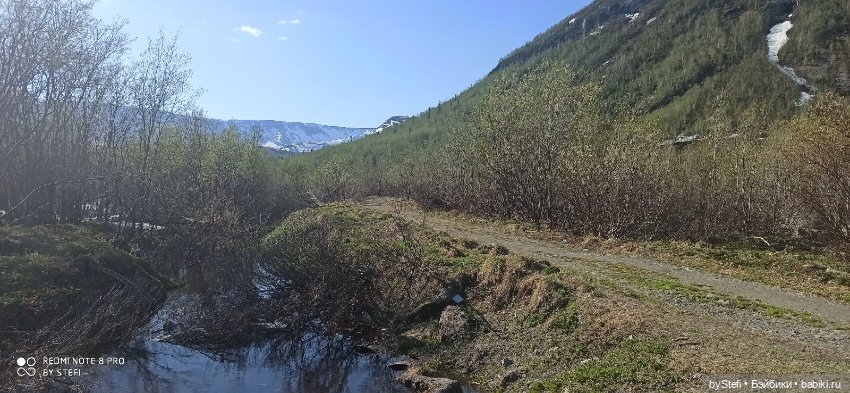 4 июня в Заполярье — Красивая природа и цветы: фото пейзажей