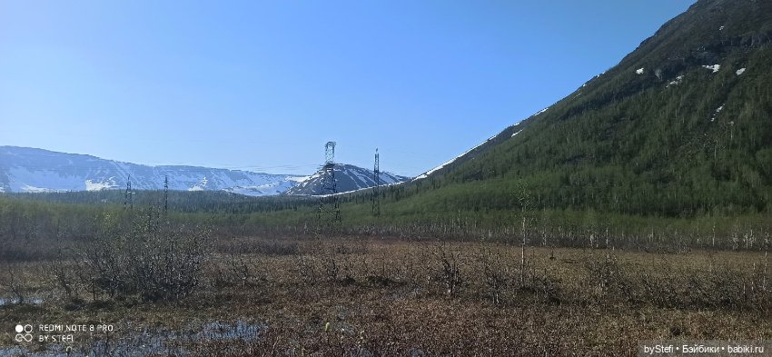 4 июня в Заполярье — Красивая природа и цветы: фото пейзажей