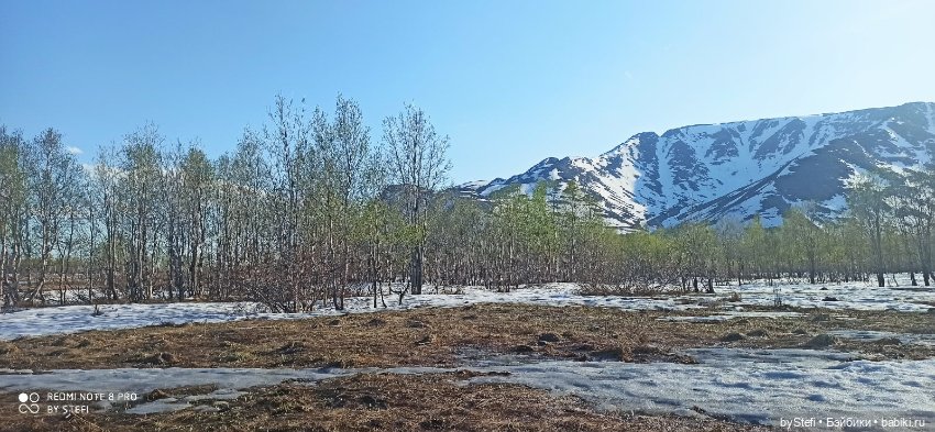 4 июня в Заполярье — Красивая природа и цветы: фото пейзажей