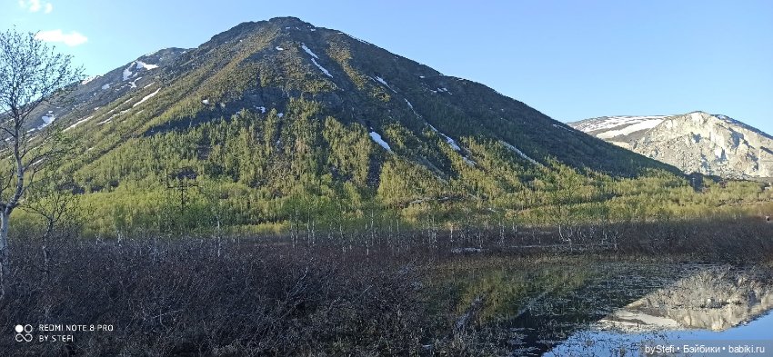 4 июня в Заполярье — Красивая природа и цветы: фото пейзажей (фото 4)