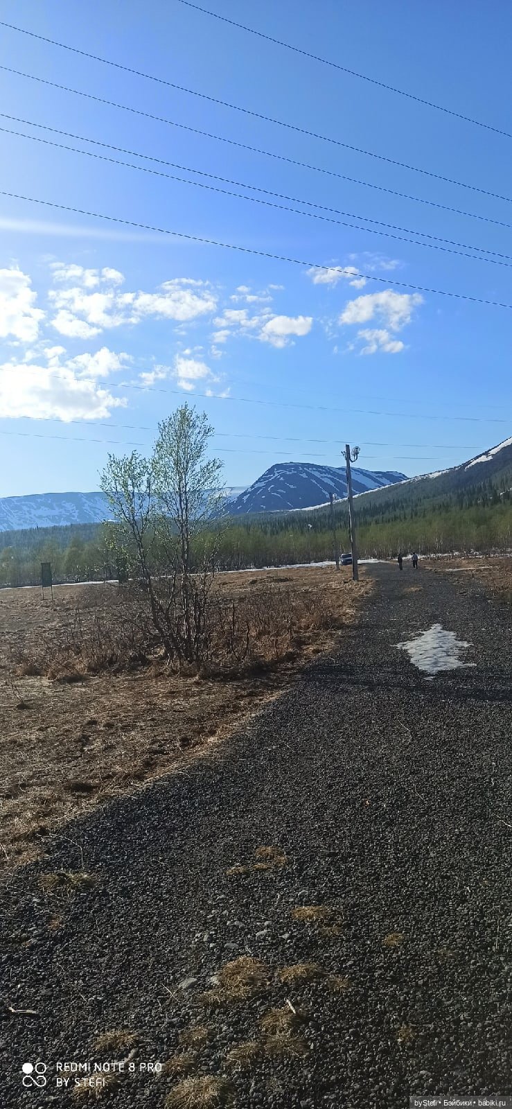 4 июня в Заполярье — Красивая природа и цветы: фото пейзажей