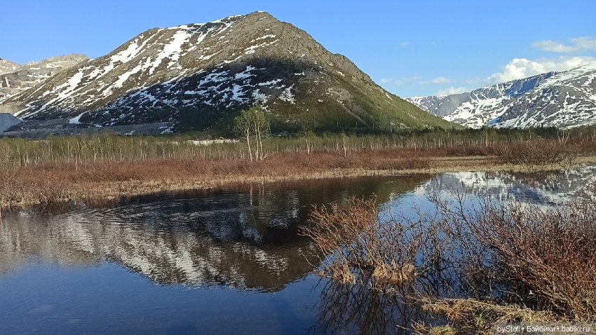 4 июня в Заполярье — Красивая природа и цветы: фото пейзажей (фото 7)
