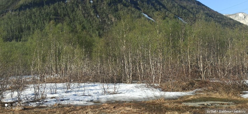 4 июня в Заполярье — Красивая природа и цветы: фото пейзажей