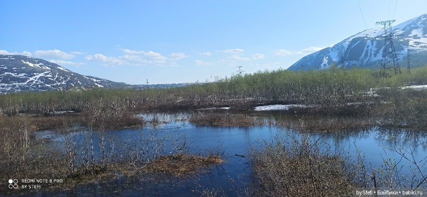 4 июня в Заполярье — Красивая природа и цветы: фото пейзажей
