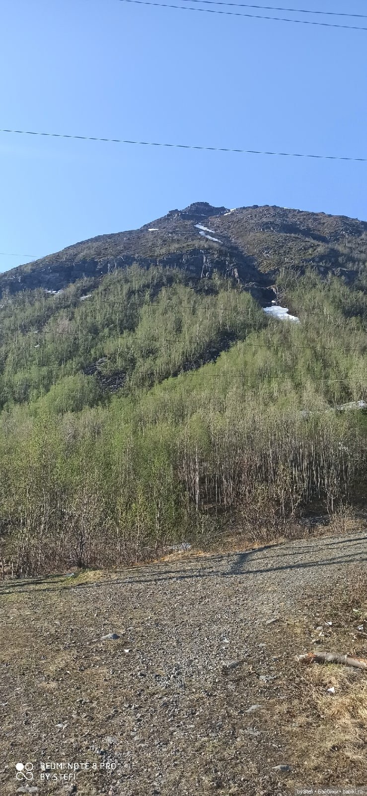 4 июня в Заполярье — Красивая природа и цветы: фото пейзажей