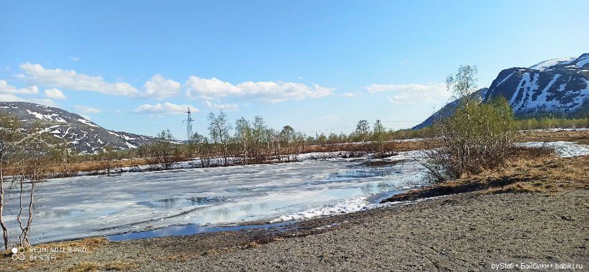 4 июня в Заполярье — Красивая природа и цветы: фото пейзажей
