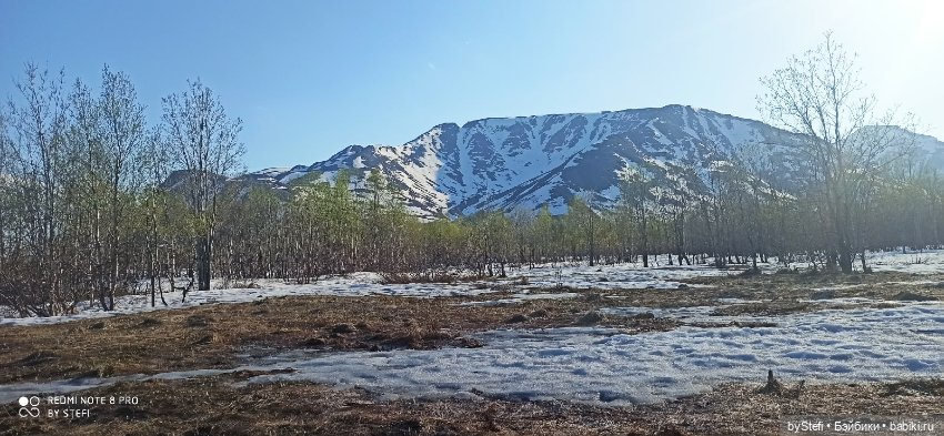 4 июня в Заполярье — Красивая природа и цветы: фото пейзажей