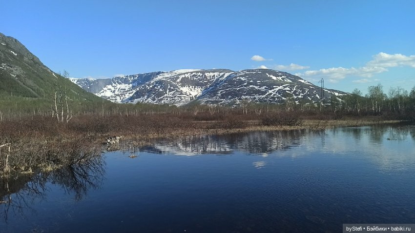 4 июня в Заполярье — Красивая природа и цветы: фото пейзажей