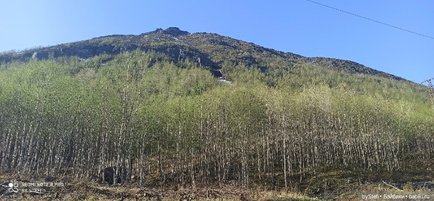 4 июня в Заполярье — Красивая природа и цветы: фото пейзажей