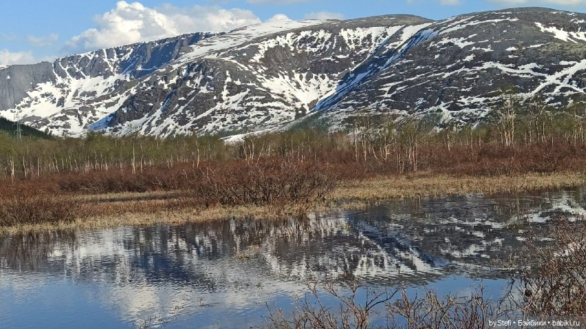 4 июня в Заполярье — Красивая природа и цветы: фото пейзажей (фото 5)