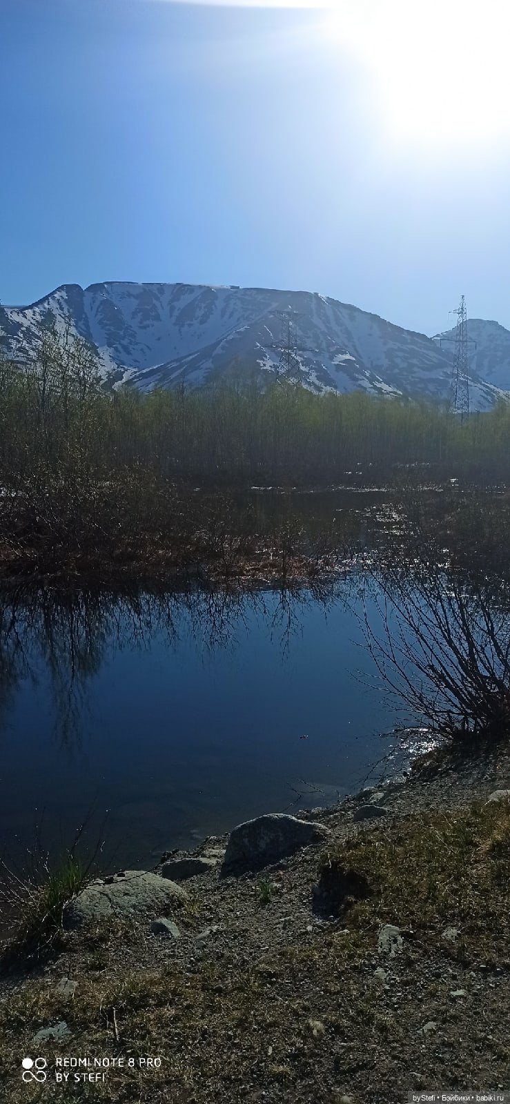 4 июня в Заполярье — Красивая природа и цветы: фото пейзажей