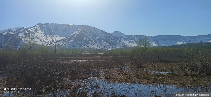 4 июня в Заполярье — Красивая природа и цветы: фото пейзажей