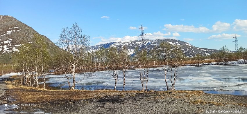 4 июня в Заполярье — Красивая природа и цветы: фото пейзажей