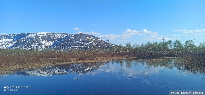 4 июня в Заполярье — Красивая природа и цветы: фото пейзажей