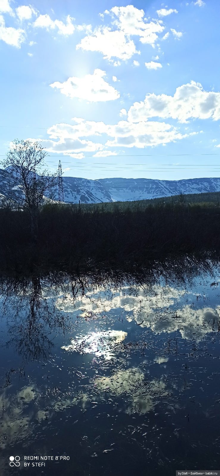 4 июня в Заполярье — Красивая природа и цветы: фото пейзажей (фото 2)