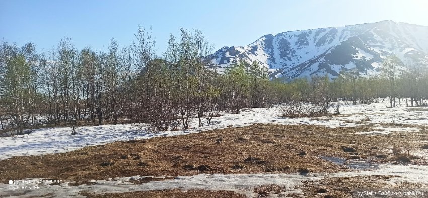 4 июня в Заполярье — Красивая природа и цветы: фото пейзажей