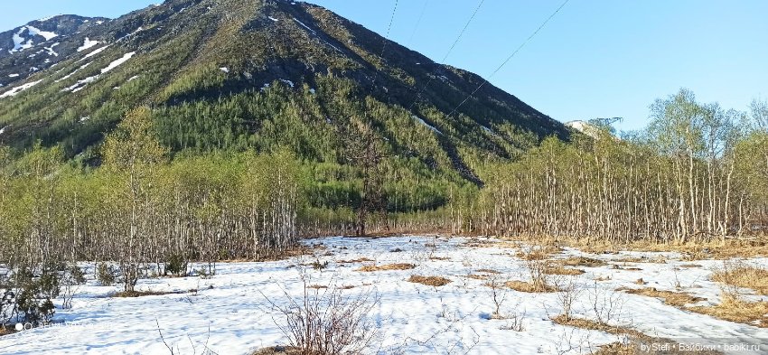 4 июня в Заполярье — Красивая природа и цветы: фото пейзажей (фото 9)