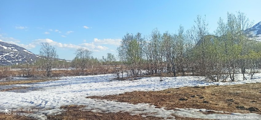 4 июня в Заполярье — Красивая природа и цветы: фото пейзажей