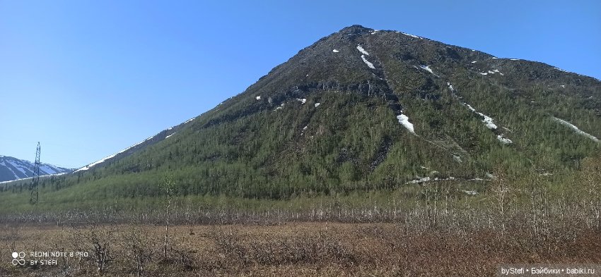 4 июня в Заполярье — Красивая природа и цветы: фото пейзажей