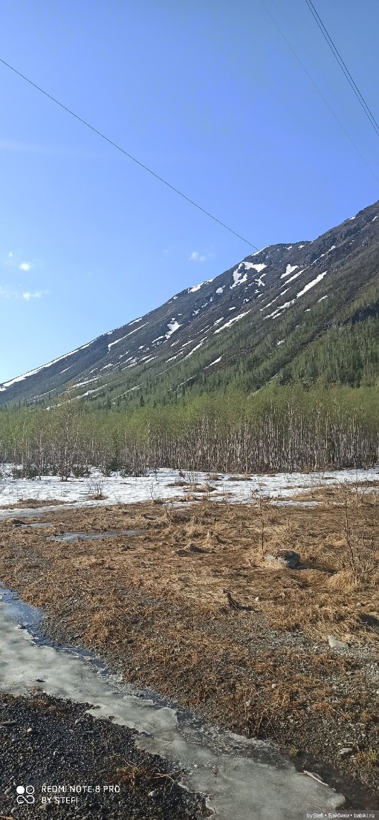 4 июня в Заполярье — Красивая природа и цветы: фото пейзажей