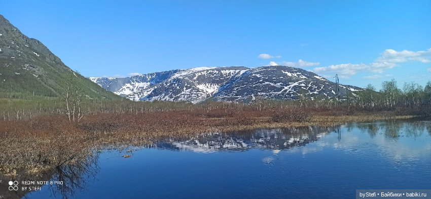 4 июня в Заполярье — Красивая природа и цветы: фото пейзажей