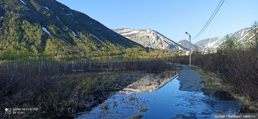 4 июня в Заполярье — Красивая природа и цветы: фото пейзажей (фото 3)