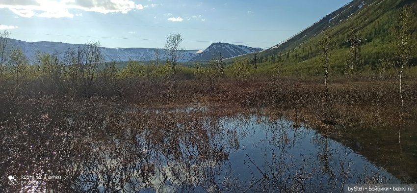 4 июня в Заполярье — Красивая природа и цветы: фото пейзажей