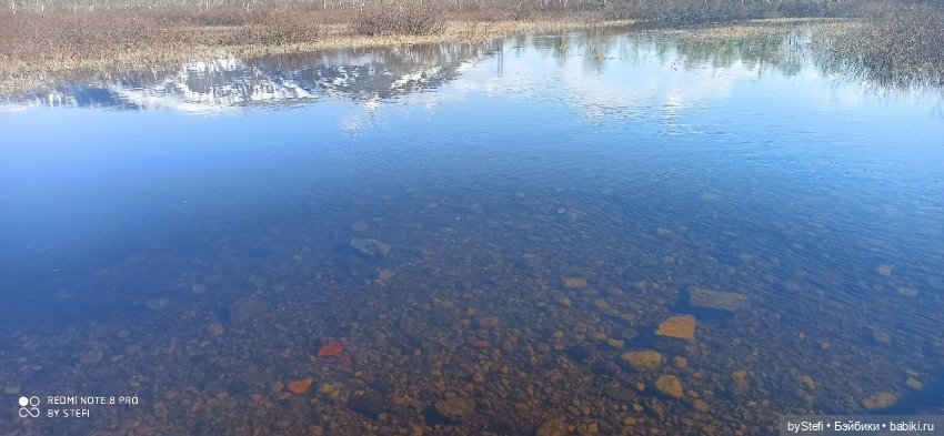 4 июня в Заполярье — Красивая природа и цветы: фото пейзажей