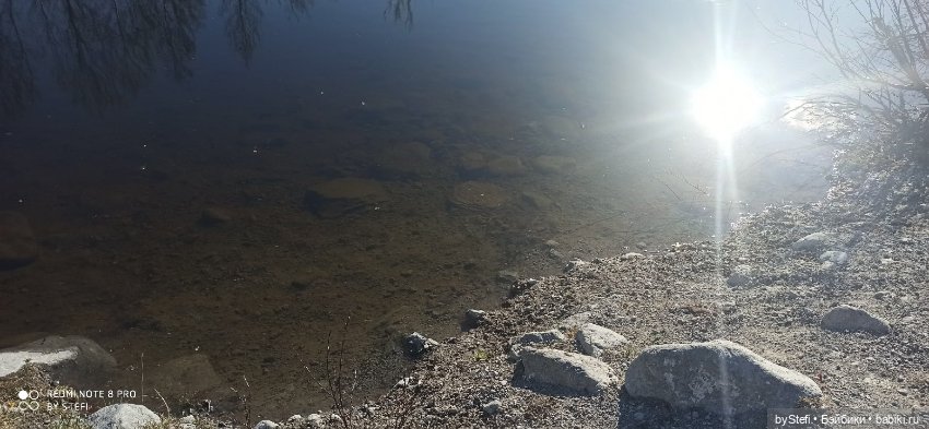 4 июня в Заполярье — Красивая природа и цветы: фото пейзажей