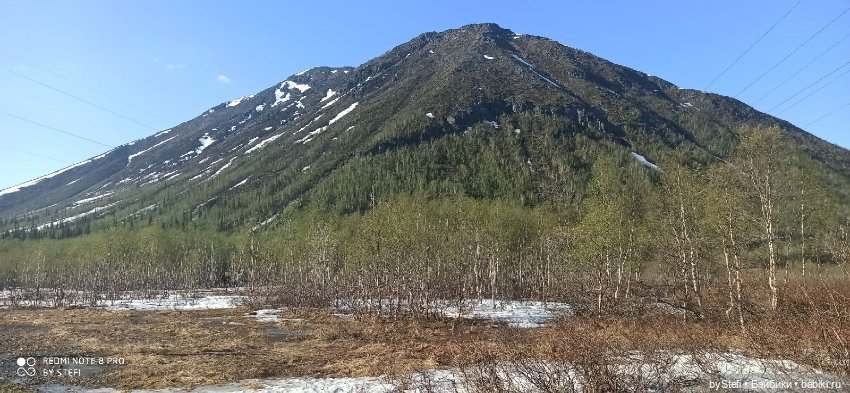 4 июня в Заполярье — Красивая природа и цветы: фото пейзажей