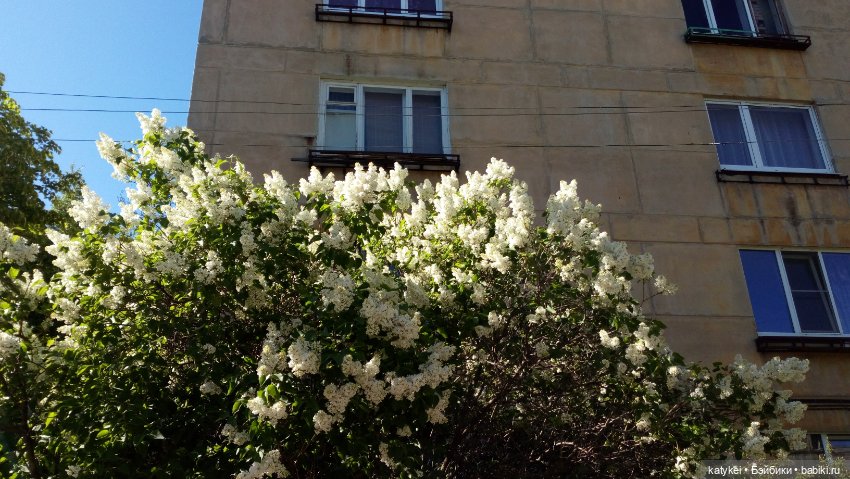 Мини акрил — Болталка и разговоры обо всем: жизнь