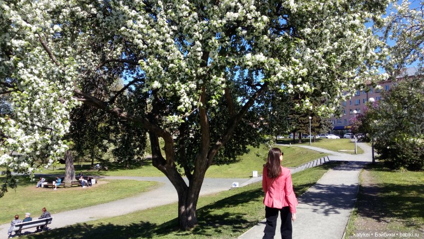 Мини акрил — Болталка и разговоры обо всем: жизнь