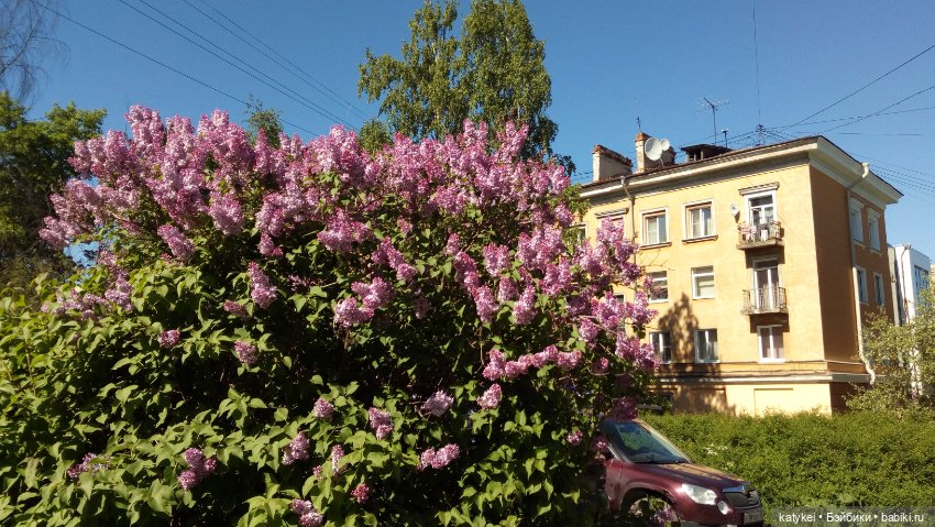 Мини акрил — Болталка и разговоры обо всем: жизнь (фото 10)