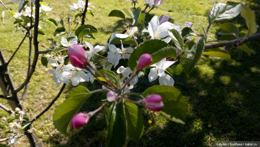 Мини акрил — Болталка и разговоры обо всем: жизнь