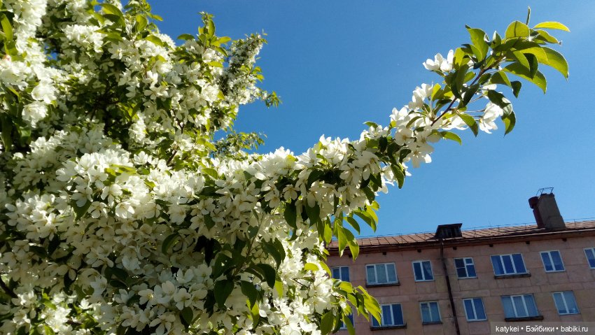 Мини акрил — Болталка и разговоры обо всем: жизнь