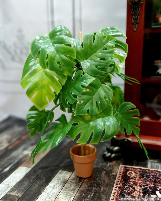 Девушкам из высшего общества (фото 9)