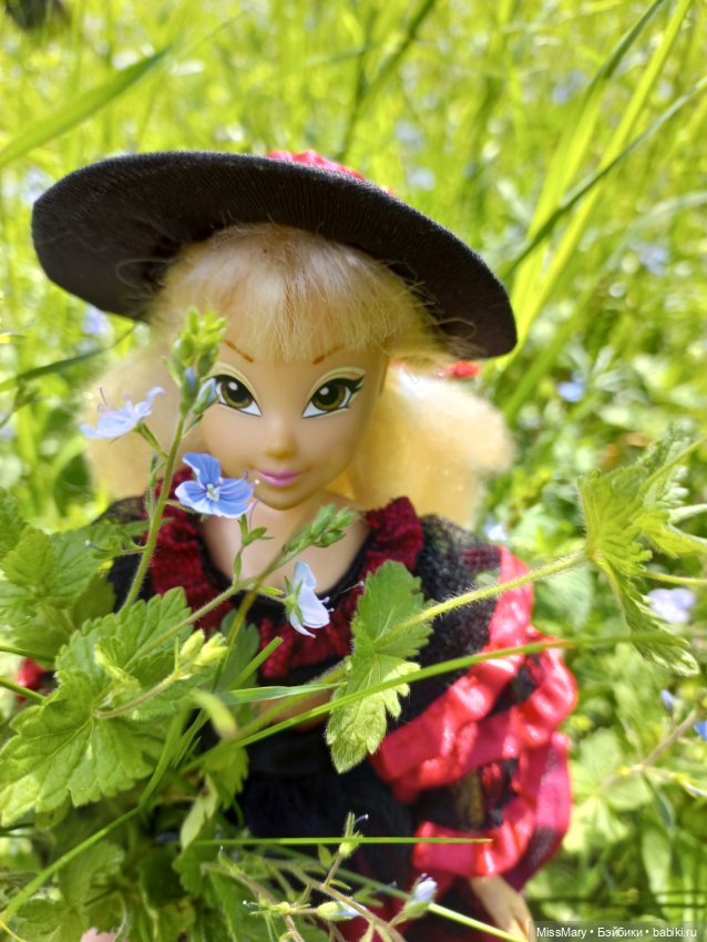 В кругу фей — Куклы Winx (Винкс) и W (фото 5)
