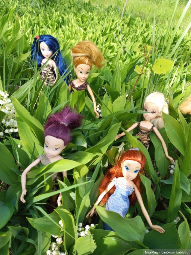 В кругу фей — Куклы Winx (Винкс) и W