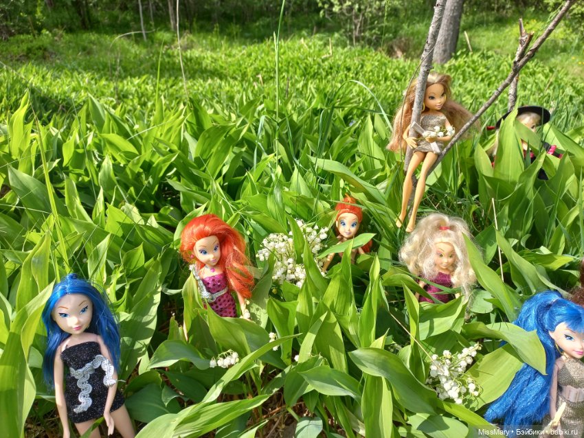 В кругу фей — Куклы Winx (Винкс) и W