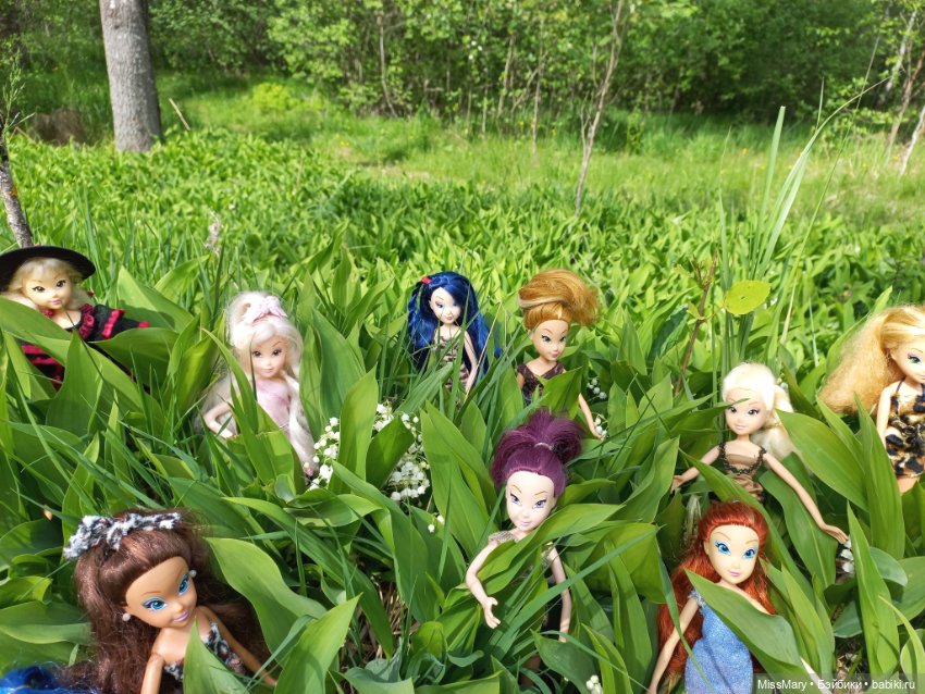 В кругу фей — Куклы Winx (Винкс) и W