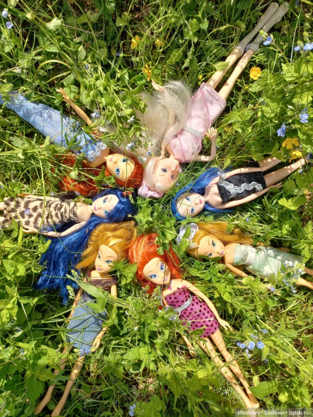 В кругу фей — Куклы Winx (Винкс) и W (фото 4)