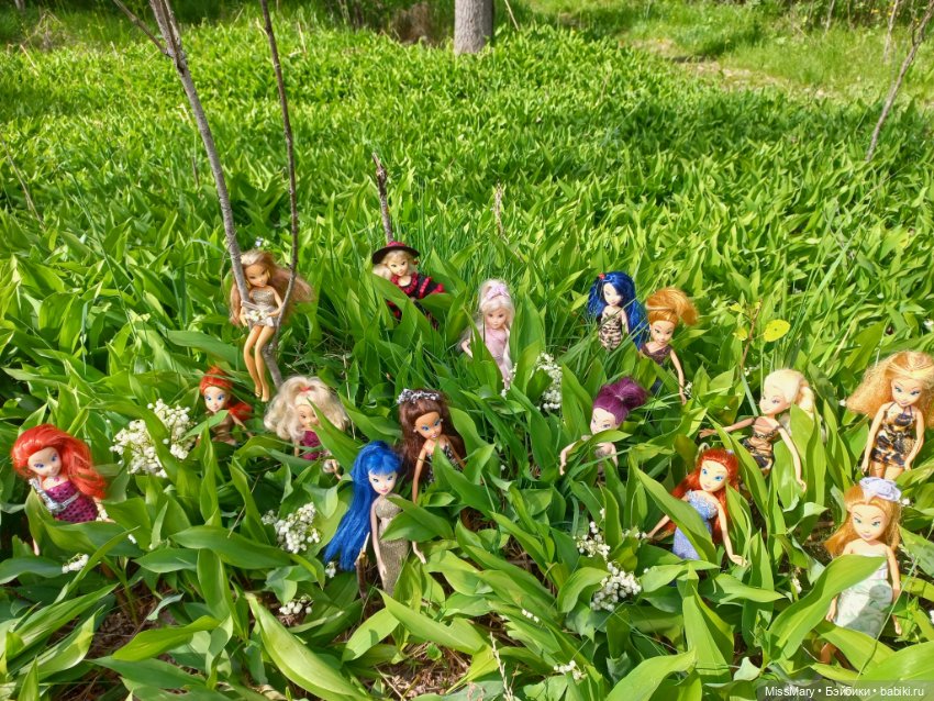 В кругу фей — Куклы Winx (Винкс) и W