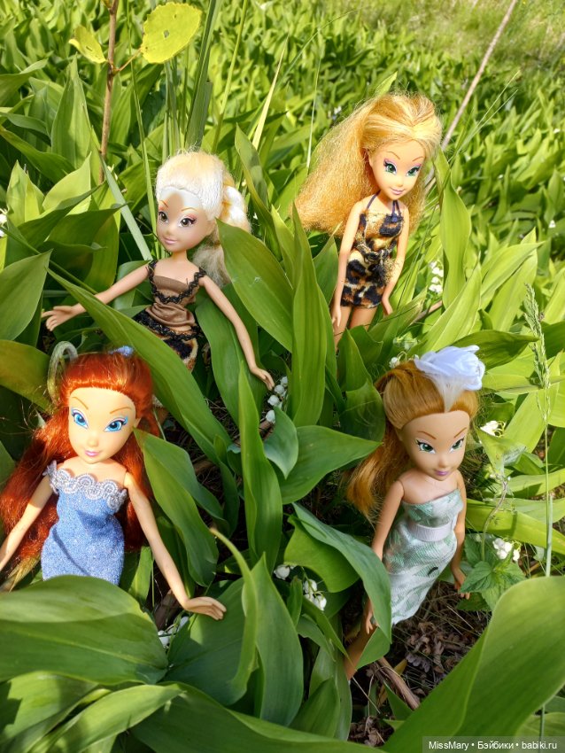 В кругу фей — Куклы Winx (Винкс) и W