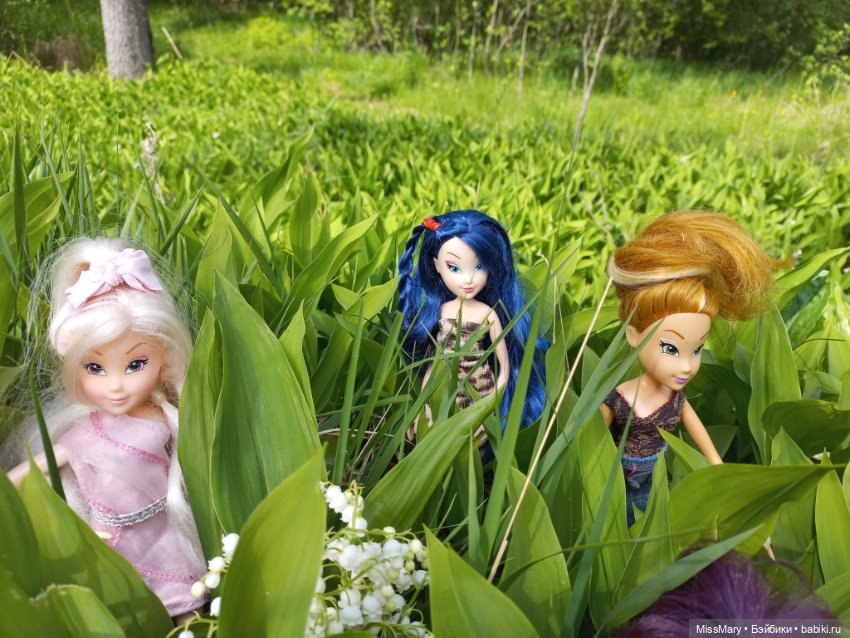 В кругу фей — Куклы Winx (Винкс) и W