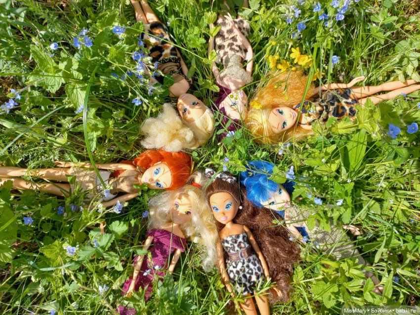 В кругу фей — Куклы Winx (Винкс) и W (фото 8)