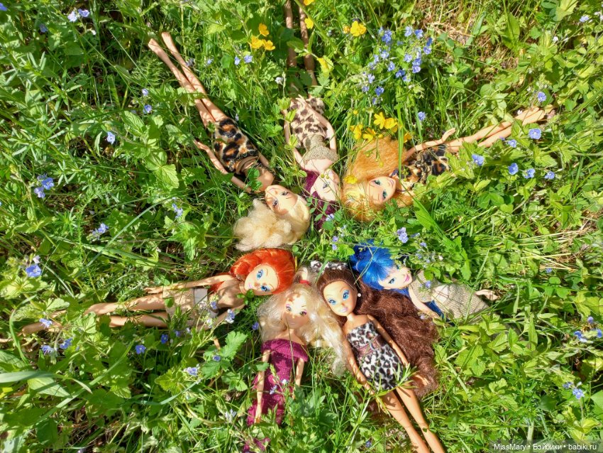 В кругу фей — Куклы Winx (Винкс) и W (фото 9)