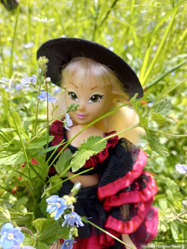 В кругу фей — Куклы Winx (Винкс) и W (фото 6)