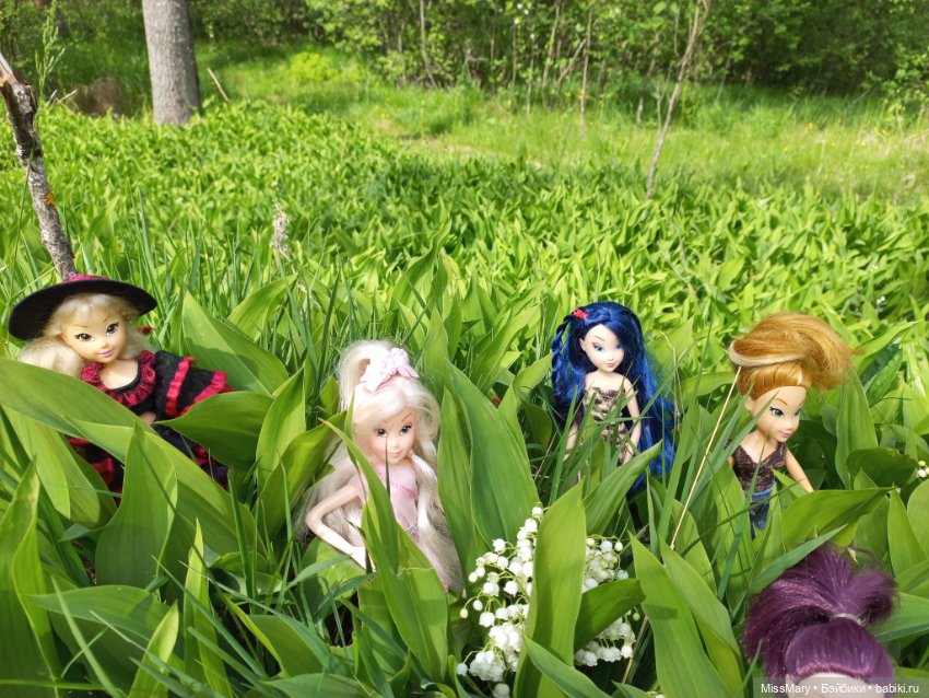 В кругу фей — Куклы Winx (Винкс) и W