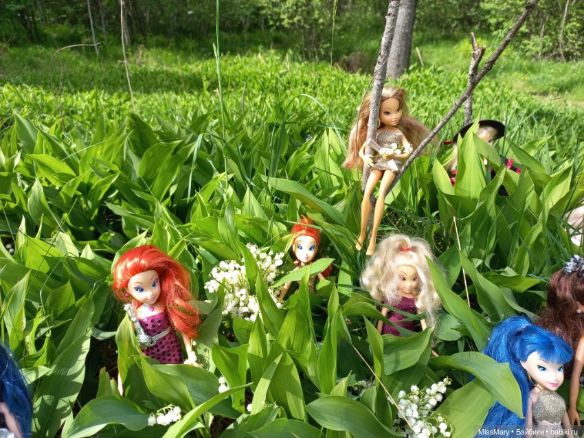 В кругу фей — Куклы Winx (Винкс) и W