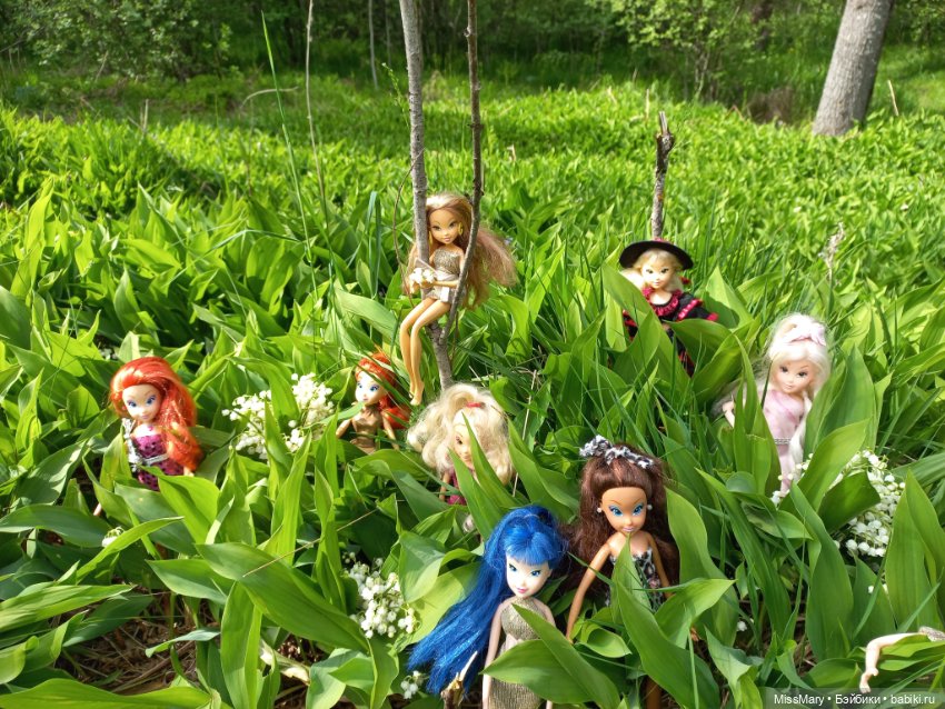 В кругу фей — Куклы Winx (Винкс) и W